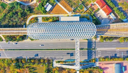 Solusi perusahaan terbaru tentang METRO QINGDAO