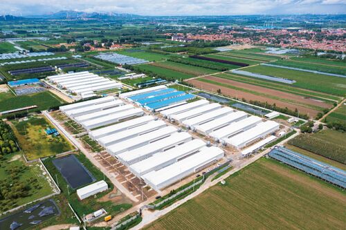 Dernières solutions de l'entreprise ZONE DE DÉMONSTRATION D'AGRICULTURE INTELLIGENTE DE GEBEITOU