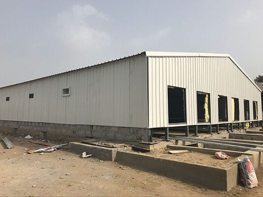 गुणवत्ता कस्टमाइज्ड स्टील स्ट्रक्चर पोल्ट्री हाउस पेंटेड लो कॉस्ट स्टील पोल्ट्री शेड ISO9001 फैक्टरी