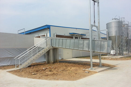 quality Galvanized Steel Structure Poultry House Building , Light Steel Structure Egg Chicken Farm factory