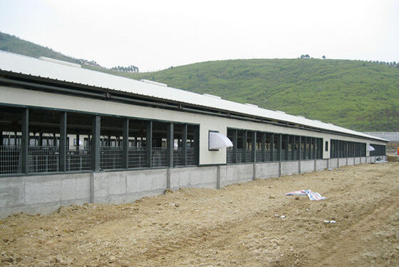 Bom preço Estrutura de aço pré-fabricada Casa de aves de capoeira Dimensão / layout personalizado Casas de frango pré-fabricadas on-line