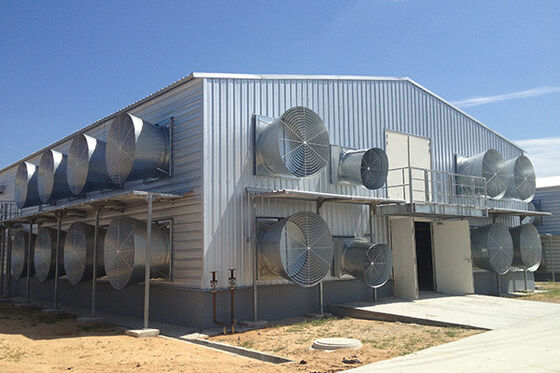 Good price Q235 Steel Structure Poultry House Construction , Light Steel Frame Chicken House online