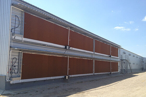 Good price Pre Engineered Steel Chicken House Q355B Steel Structure Poultry Sheds online