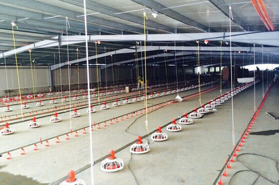 Bom preço Q235B Estrutura de aço Casas de aves de capoeira Quadro de metal leve pintado Casas de frango on-line