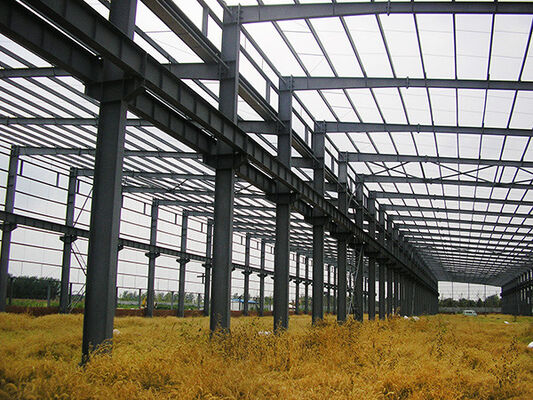 Goede prijs Prefabricated Metalen Schuur Gebouw, Metalen Schuur op Maat voor Magazijn online